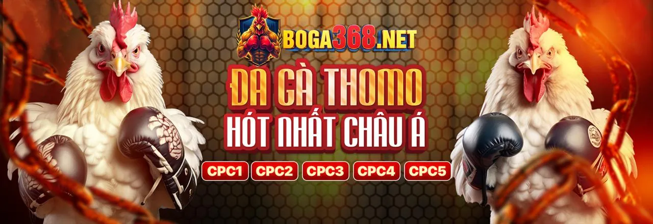 Các chương trình khuyến mãi và ưu đãi thể thao TX666